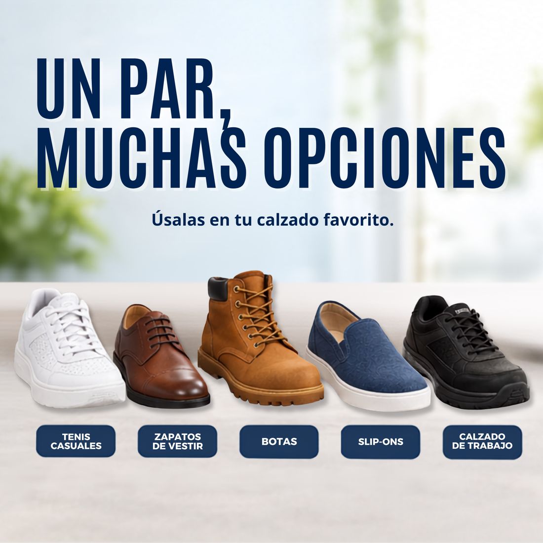 Información de Acojinada